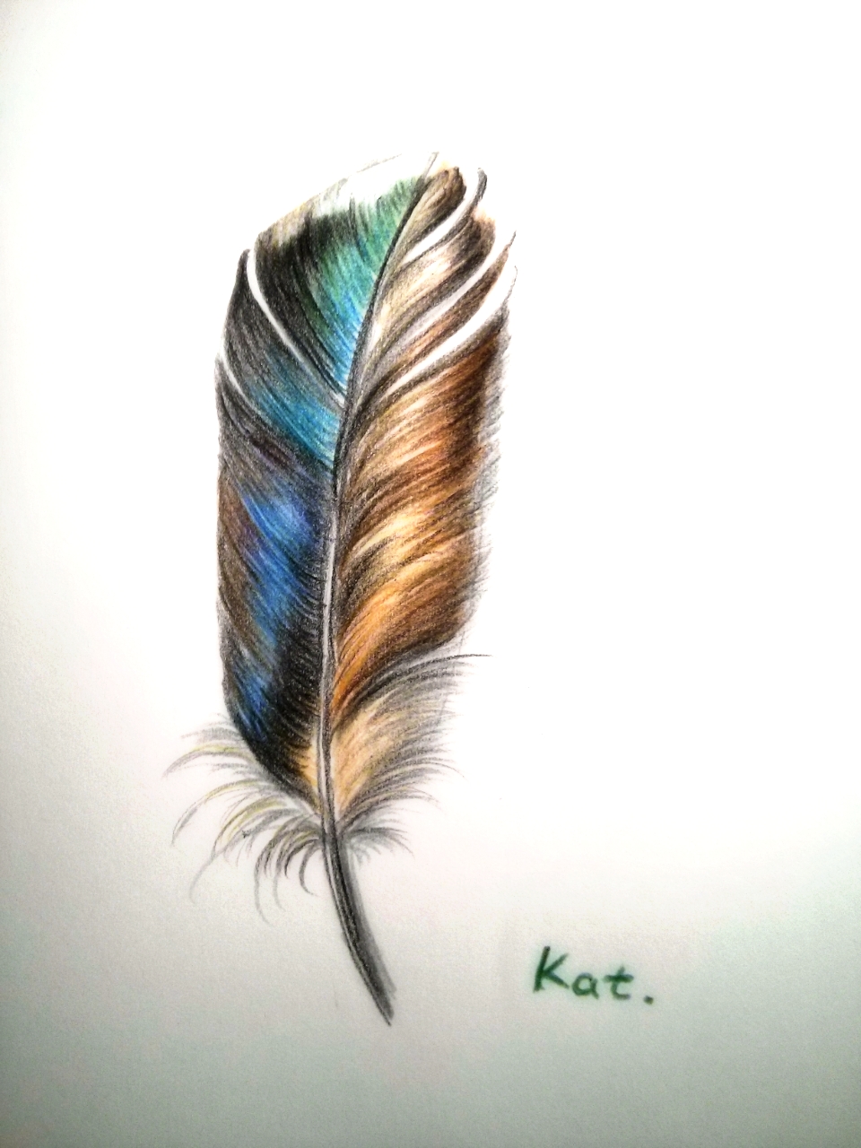 feather
